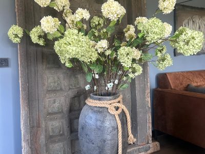 Sylxz Viburnum Opulus White 120 cm