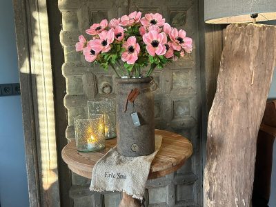 Brynxz Anemone Peach 56 cm